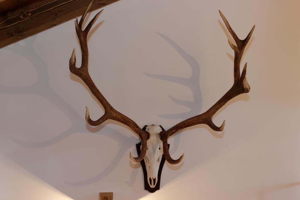 Ferienhaus Hirschkopf Mauth Rum bild